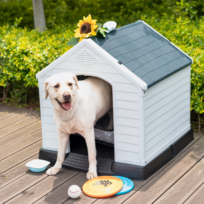 Tucker Murphy Pet™ Deisi Plastic Insulated Dog House Wayfair